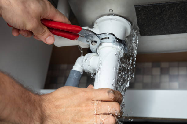 Best Professional water damage repair  in Cudahy, CA