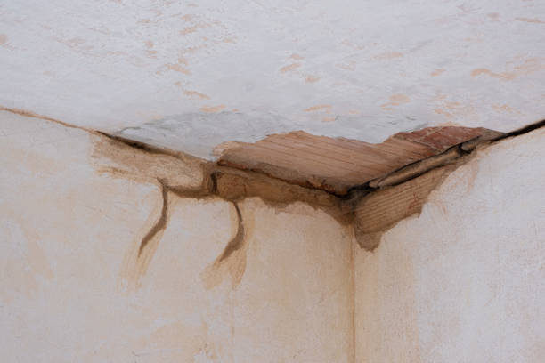 Best Water damage restoration process  in Cudahy, CA