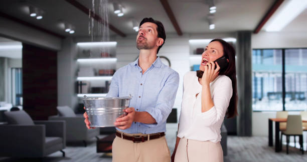 Best Commercial water damage restoration  in Cudahy, CA